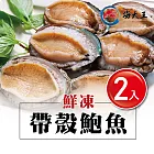 【海大王】鮮凍帶殼鮑魚300g(6-7顆/包)*2入組