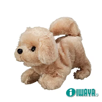 【IWAYA】甜甜屋-黃金獵犬 日本暢銷電子寵物