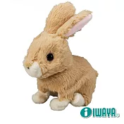 【IWAYA】大甜甜-長耳兔 日本暢銷電子寵物