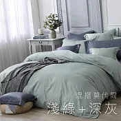 【麗塔寢飾】雙人加大床包兩用被套四件式 混搭莫代爾- 淺綠+深灰