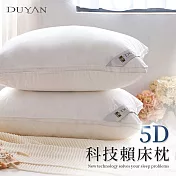 《DUYAN竹漾》5D科技賴床枕