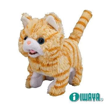 【IWAYA】甜甜屋-蘇格蘭摺耳貓 日本暢銷電子寵物