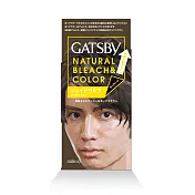GATSBY 無敵顯色染髮霜(闇夜亞灰) 雙氧乳70ml、染髮霜35g