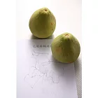 阿洲水果花蓮鶴岡文旦頂級(10斤)