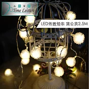Time Leisure LED派對佈置燈飾燈串(蒲公英/暖白/2.5M)