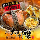 【優鮮配】特A規格鮮活江南大閘蟹6隻(5.5兩/隻)免運組