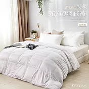 《DUYAN 竹漾》特級90/10羽絨被 台灣製