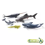 【collectA】collectA 海洋動物禮盒組(5入)英國高擬真模型R89671