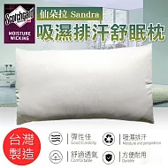 【U】朵拉寢具- <買一送一> 3M吸濕排汗壓縮枕