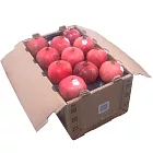 阿洲水果美國紅石榴(20-26粒隨機)