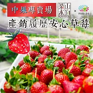 【梁山水泊】產銷履歷鮮採安心草莓 -中果專賣場