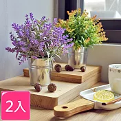 【Meric Garden】創意北歐ins風仿真迷你療癒小盆栽/桌面裝飾擺設(2款一組)