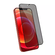 JTLEGEND iPhone 12/ mini/ Pro/ Pro Max 9H 防窺玻璃保護貼6.7吋