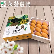 【永齡選物】台中新社山豬枇杷禮盒(500g±5%)