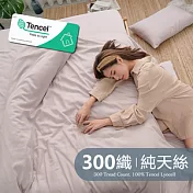 《BUHO》素面文青300織100%TENCEL純天絲床包枕套三件組-雙人加大 《淺玉》
