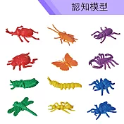 【USL遊思樂教具】認知模型-昆蟲模型 (72pcs) F1010A01