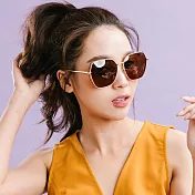 【ALEGANT】時尚復古鏤空金框茶棕偏光墨鏡/UV400太陽眼鏡