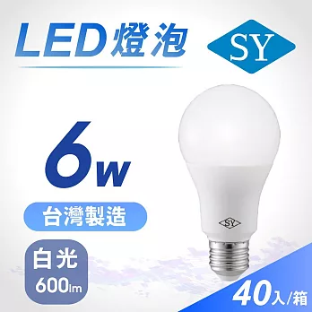 40入【SY 聲億】6W LED高效能廣角燈泡 -白光