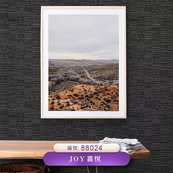 台製 Joy 53X1000cm 壁紙3卷(4色選） 88024
