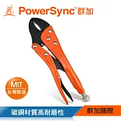 群加 PowerSync 10＂高級普通嘴萬能鉗/台灣製造(WDA-EF254)