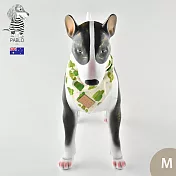 Pablo &Co 寵物領巾 綠洲仙人掌 M