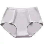 【DR.Story】日本熱銷銀離子冰絲內褲 3件組 XL 時尚幻銀