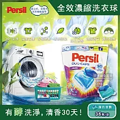 【德國Persil】超濃縮3合1酵素洗衣膠囊36顆/袋 護色增艷