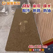 G+居家 2片組絲絨刮沙泥除塵地墊-幸運樹40x120cm 卡其