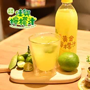 [花蓮佳興冰果室]黃金檸檬汁12瓶(500ml/瓶)