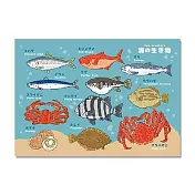 【賽先生科學工廠】A4圖鑑海報-海底圖鑑(2款) 彩色海洋生物