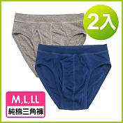 【日本GUNZE】男士純棉三角內褲2件組(SA640) M 灰