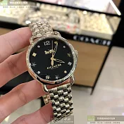COACH蔻馳精品錶,編號：CH00034,36mm圓形金色精鋼錶殼黑色錶盤精鋼金色錶帶