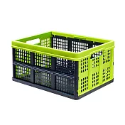 比利時EVOBOX 摺疊收納籃46L-黑/綠色