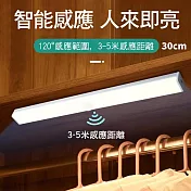 CS22 USB充電磁吸式LED人體智能感應燈-30CM 暖光