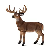 【Mojo Fun 動物星球】387038 森林動物-白尾雄鹿