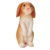 【Mojo Fun 動物星球】387141 農場動物-小兔子(坐姿)