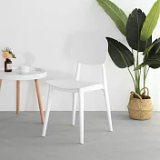 IDEA-絢麗時尚馬卡龍色系休閒餐椅 白色