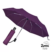 【2mm】強化鋼骨抗風自動開收傘_ 葡萄紫