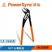 群加 PowerSync 10＂水管鉗/台灣製造(WDA-WA250)