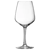 《Pulsiva》Vina紅酒杯(490ml) | 調酒杯 雞尾酒杯 白酒杯
