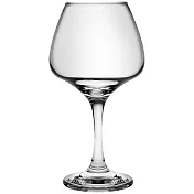 《Pulsiva》Amarella紅酒杯(560ml) | 調酒杯 雞尾酒杯 白酒杯