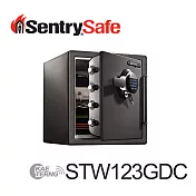 Sentry Safe 電子密碼鎖防火防水金庫(中)STW123GDC