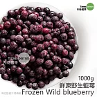 【天時莓果】明亮有神の鮮凍野生藍莓 1000公克（夾鏈袋包裝）