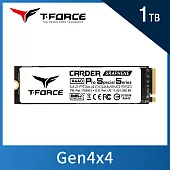 TEAM 十銓 T-FORCE CARDEA A440 Pro Special Series 1TB M.2 PCIe4.0 SSD 固態硬碟