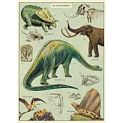 美國 Cavallini & Co. wrap 包裝紙/海報 恐龍 Dinosaurs