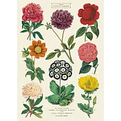 美國 Cavallini & Co. wrap 包裝紙/海報 植物學花卉