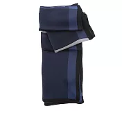 BURBERRY 經典格紋蠶絲圍巾 (靛藍色)