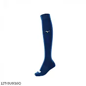 Mizuno Sock [12TX0U0016Q] 棒壘襪 長統襪 背號窗 毛巾底 耐磨 運動 訓練 25-27cm 藍 FREE 藍