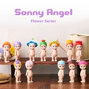 Sonny Angel 經典花卉系列 盒玩公仔 New  (盒裝12入)  (盒裝12入)