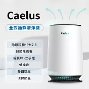 【Caelus】智能偵測空氣清淨機 WL-AP125(小坪數專用)